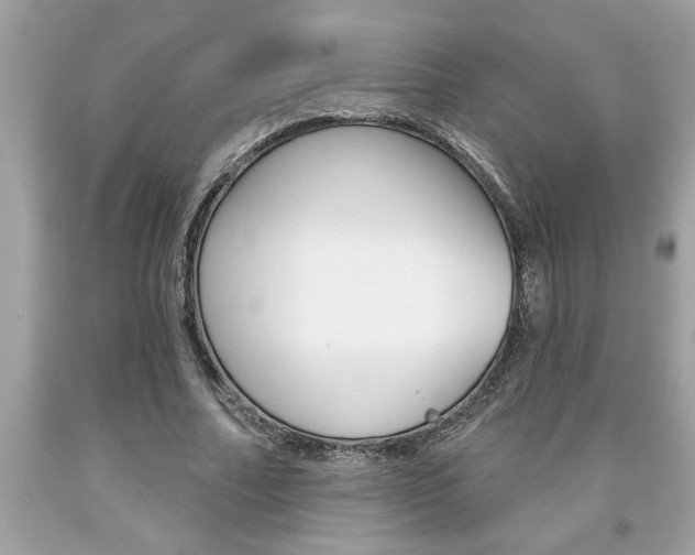 X0000094170682200710260909