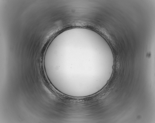 X0000094170683200710260909