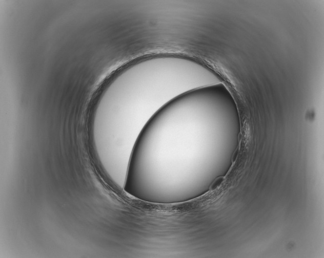 X0000094170684200710260909