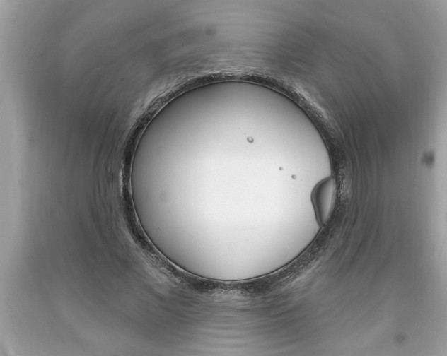 X0000094170685200710260909