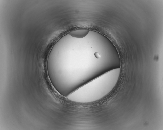 X0000094170688200710260909