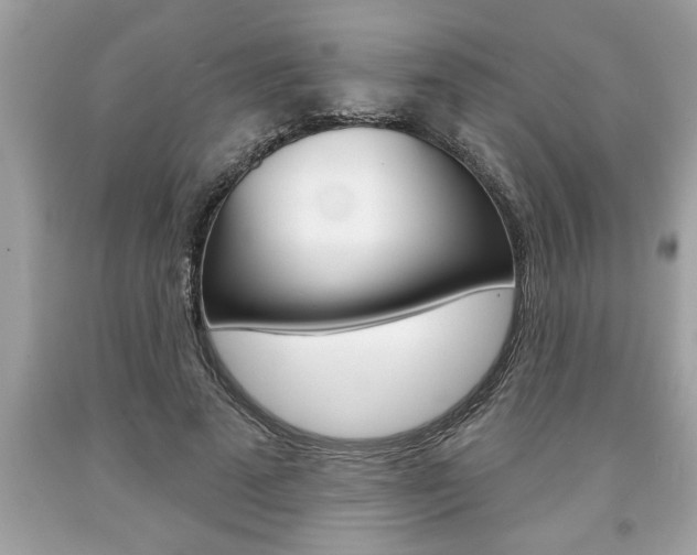 X0000094170689200710260909