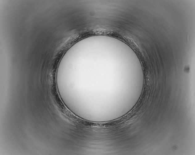 X0000094170690200710260909