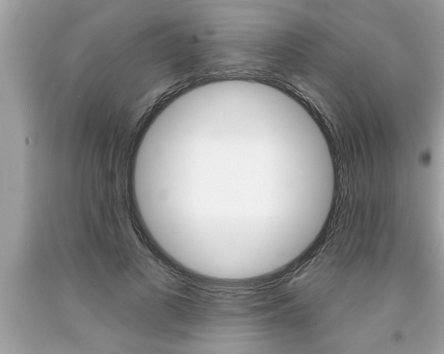 X0000094170693200710260909