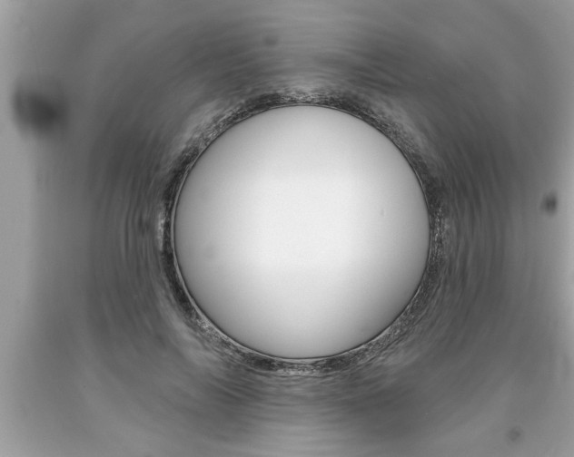 X0000094170694200710260909