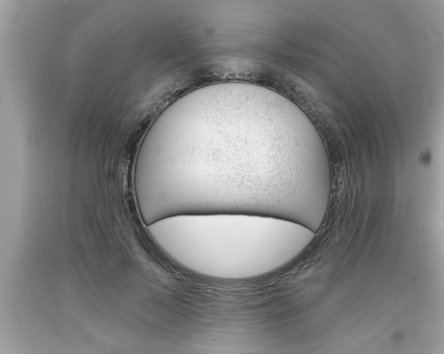 X0000094170695200710260909