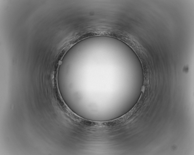 X0000094170696200710260909