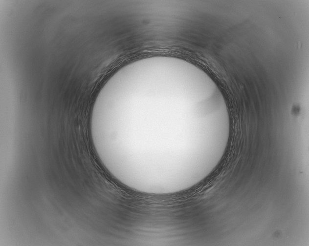 X0000094170697200710260909