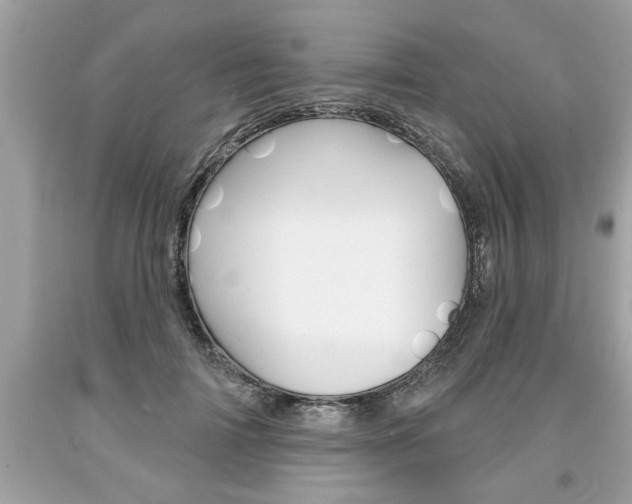 X0000094170698200710260909