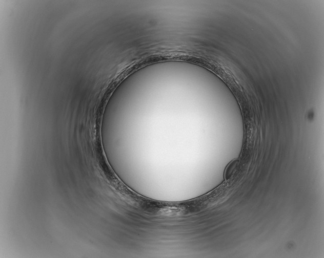 X0000094170700200710260909