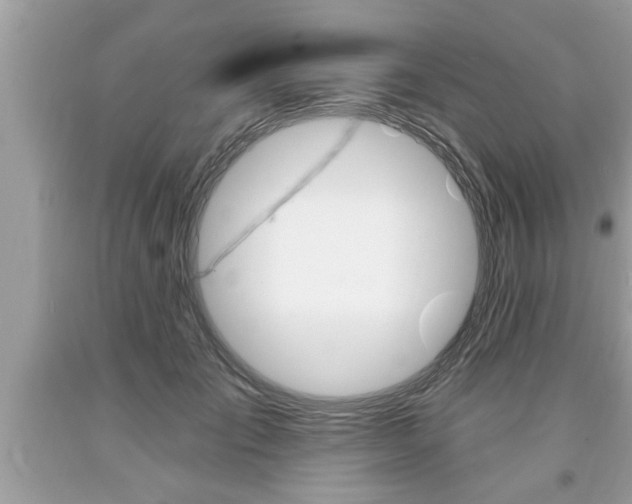 X0000094170701200710260909