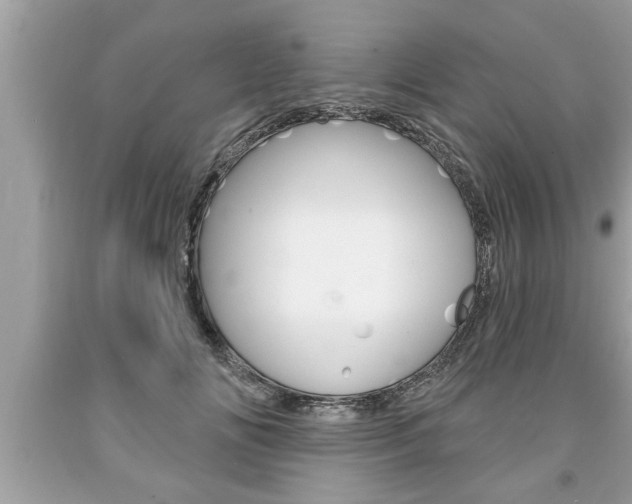 X0000094170702200710260909
