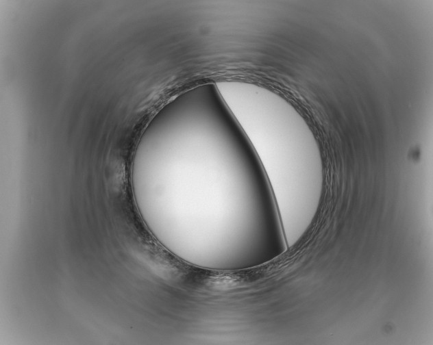 X0000094170704200710260909