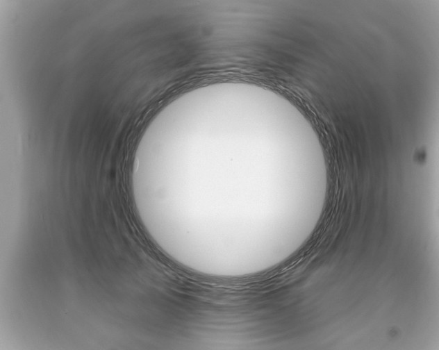 X0000094170705200710260909