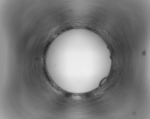 X0000094170706200710260909