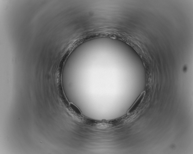 X0000094170708200710260909