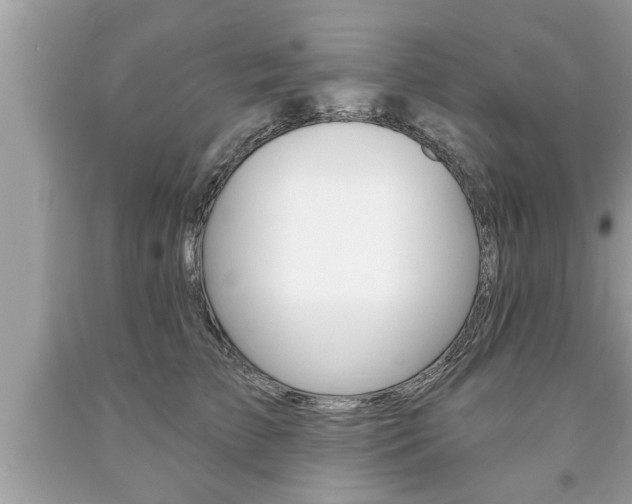 X0000094170709200710260909