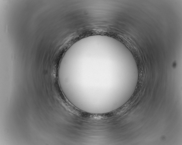 X0000094170710200710260909