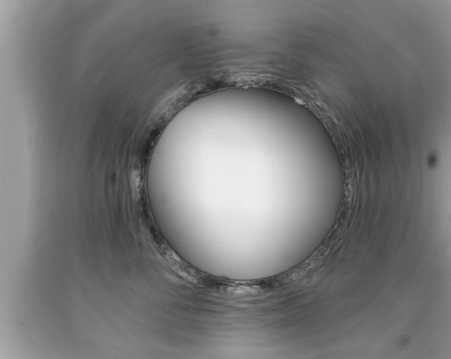 X0000094170716200710260909