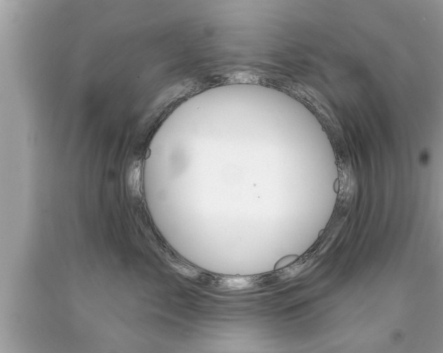 X0000094170717200710260909