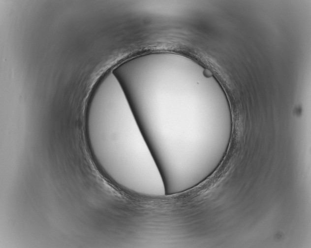 X0000094170721200710260908