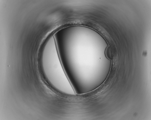 X0000094170722200710260908