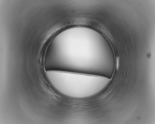 X0000094170723200710260908