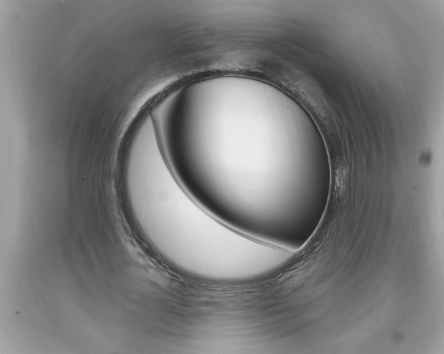 X0000094170724200710260908