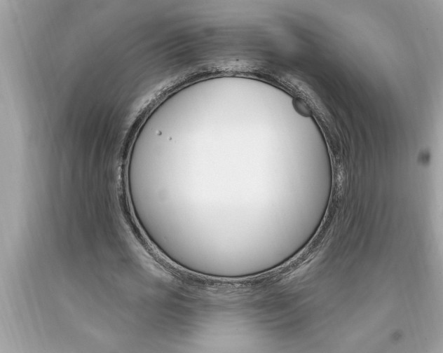 X0000094170725200710260908