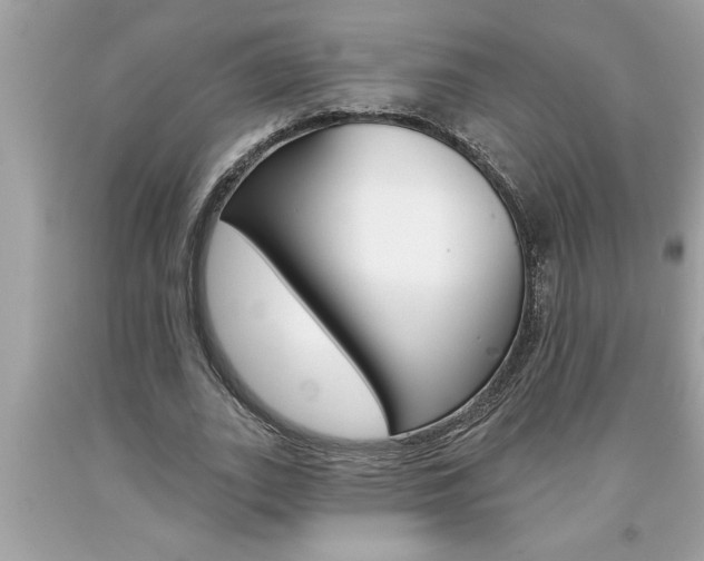 X0000094170727200710260908