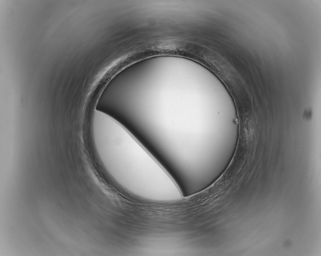 X0000094170728200710260908