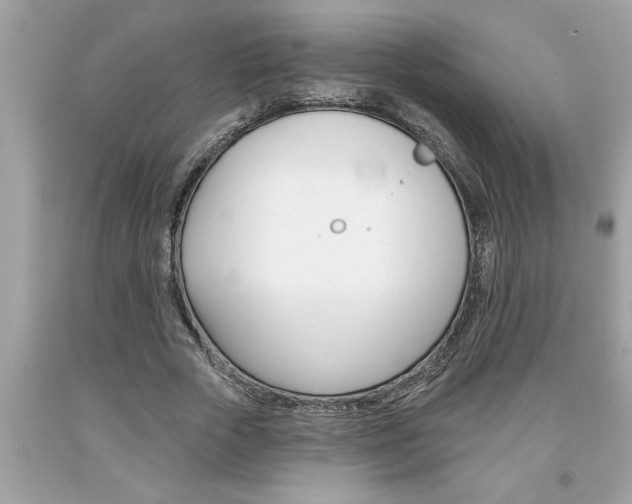 X0000094170729200710260908
