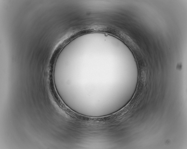X0000094170730200710260908
