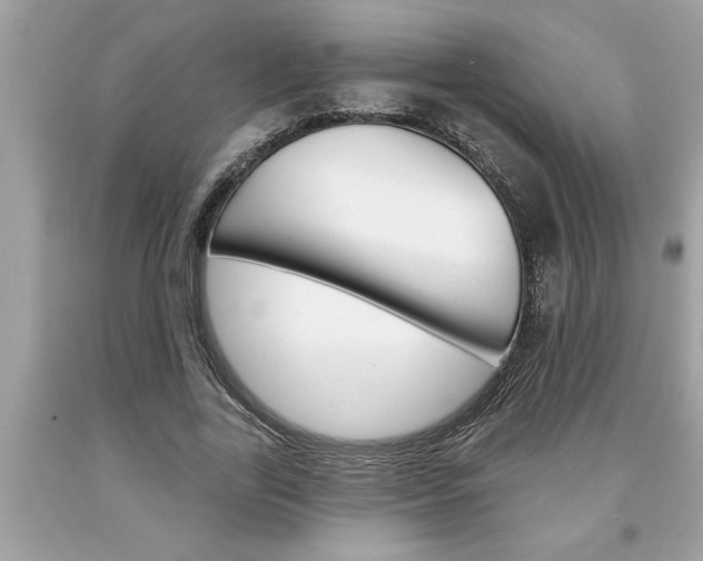 X0000094170731200710260908