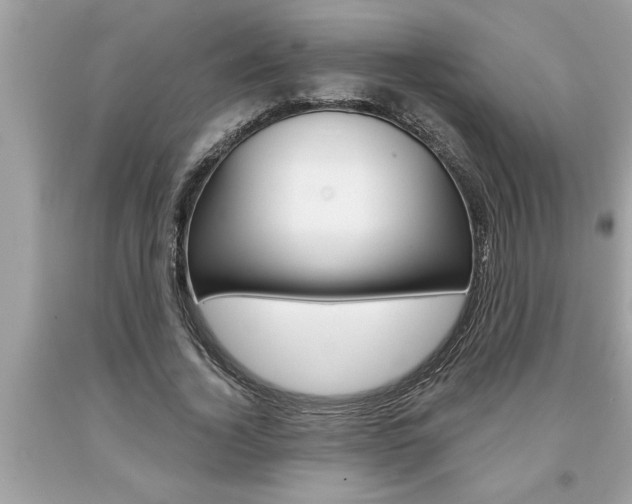 X0000094170732200710260908