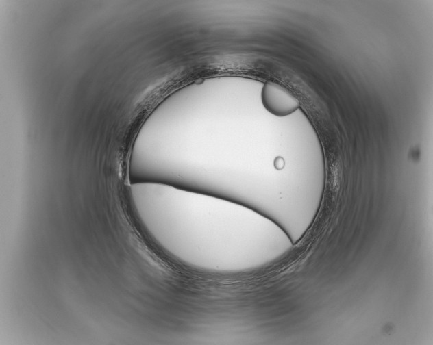 X0000094170733200710260908