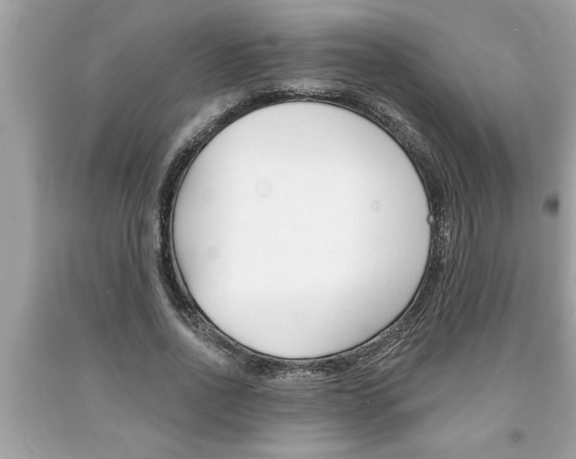 X0000094170734200710260908