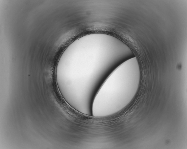 X0000094170735200710260908