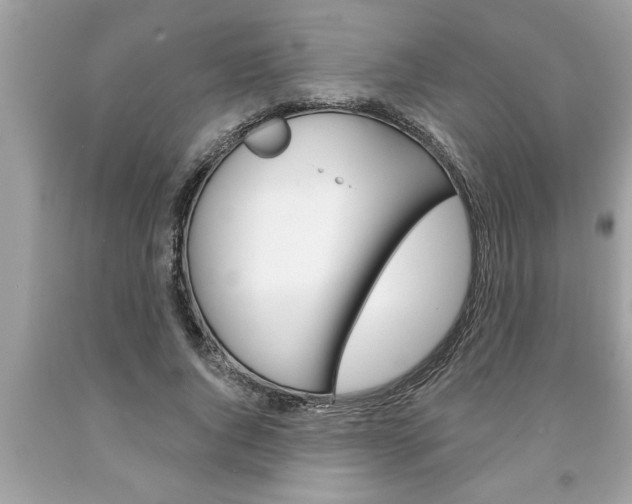X0000094170736200710260908