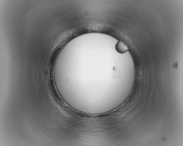 X0000094170738200710260909