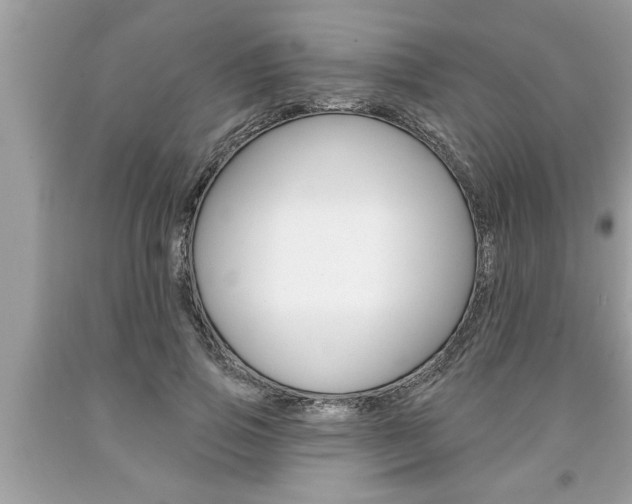 X0000094170741200710260909