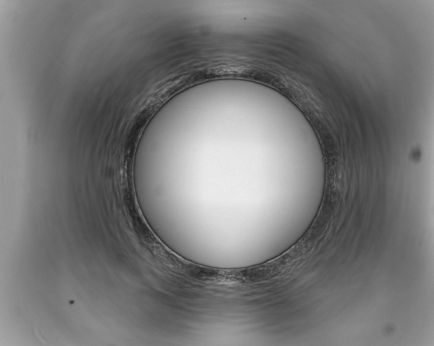 X0000094170743200710260909