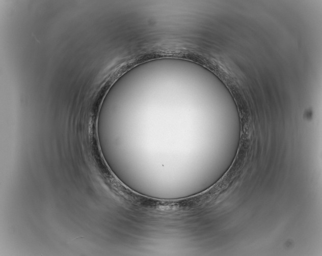 X0000094170744200710260909