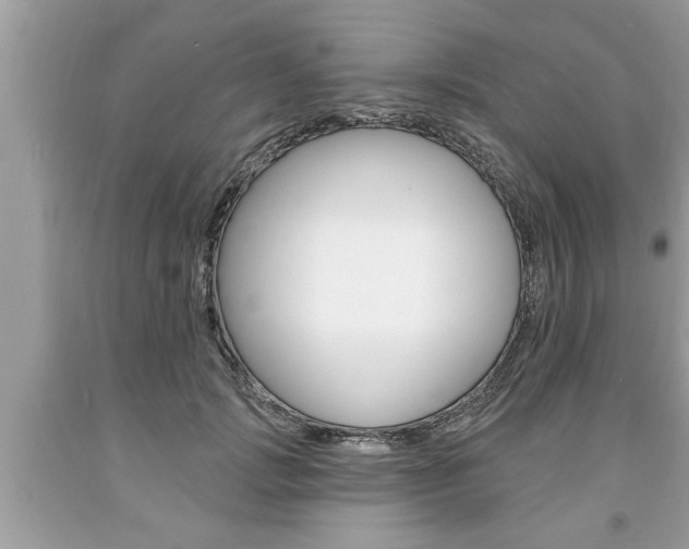 X0000094170749200710260909
