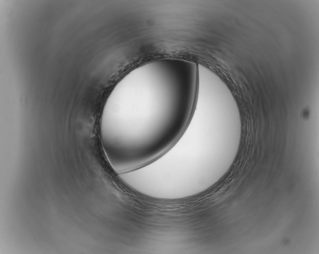 X0000094170750200710260909