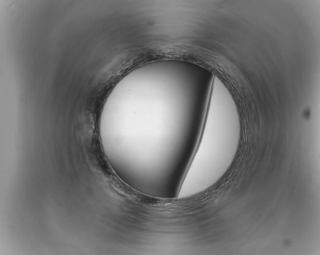X0000094170752200710260909