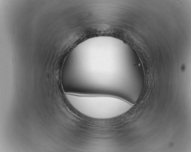 X0000094170756200710260909