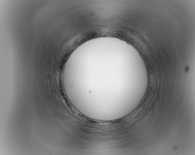 X0000094170757200710260909