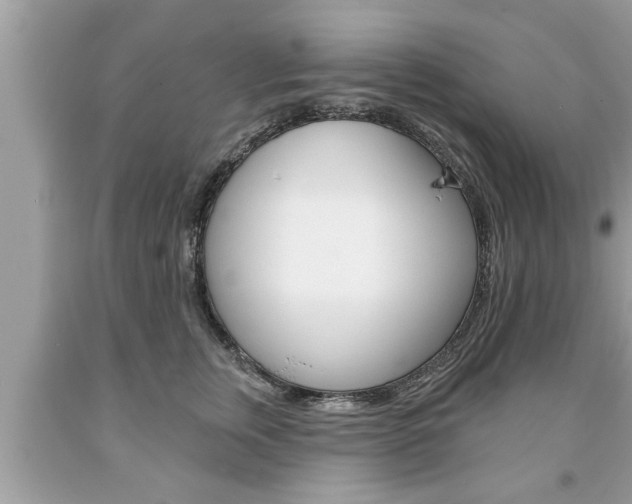 X0000094170759200710260909