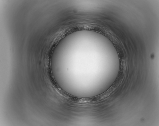 X0000094170760200710260909
